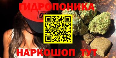 гидра Рыбинск