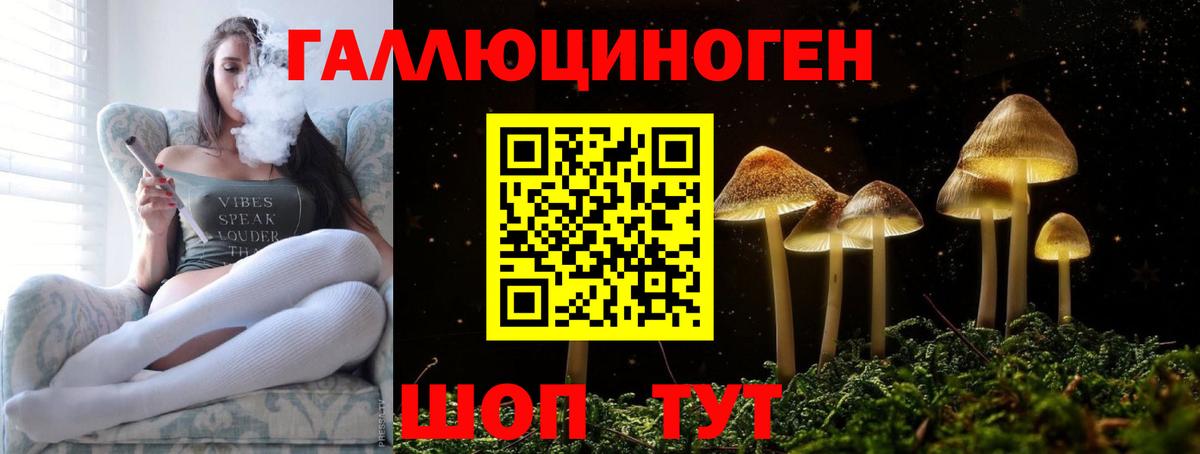 Барнаул  Псилоцибиновые грибы Psilocybine cubensis  где найти   Вход с VPN 